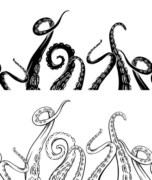 Set of seamless border of black silhouette and hand drawn sketches octopus tentacles. Creepy limbs of marine inhabitants. Vector object Set of seamless border of black silhouette and hand drawn sketches octopus tentacles. Creepy limbs of marine inhabitants. Vector object for frames, cards and your design. tentacle stock illustrations