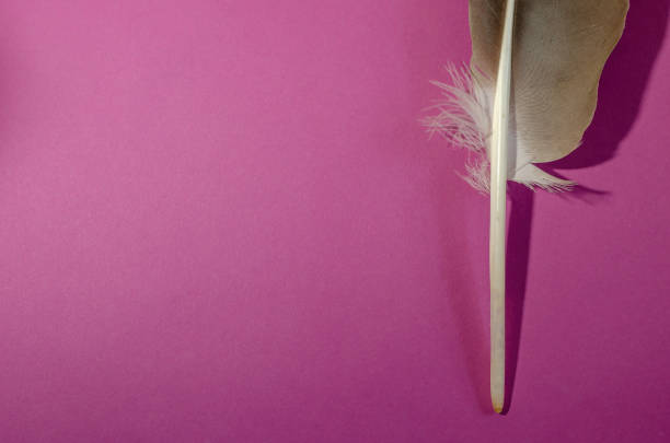 istock Quill pen on purple background. 1265900913
