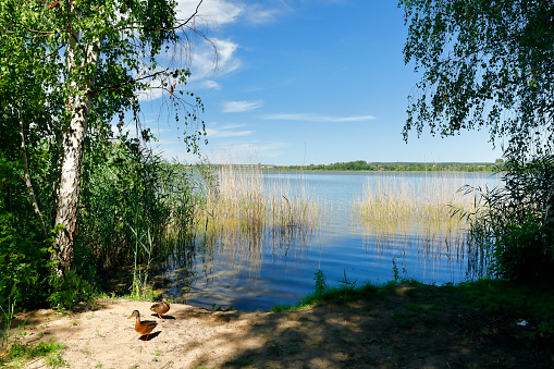 Small beach at the Zierker lake in Mecklenburg-Vorpommern