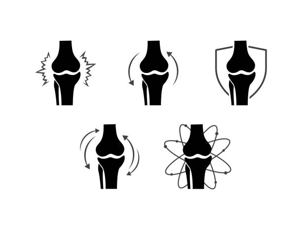 Knee bones vector. Human bone and joint icon set. Rheumatology and traumatology, vector design and illustration. Knee bones vector. Human bone and joint icon set. Rheumatology and traumatology, vector design and illustration. Vector illustration human bone stock illustrations