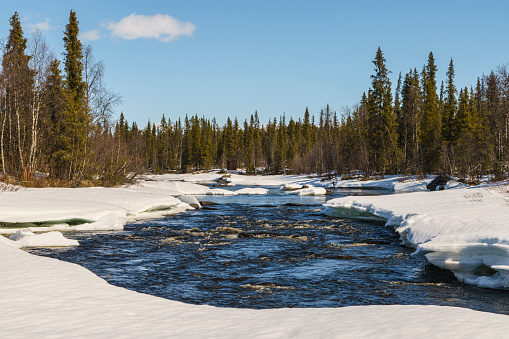River at spring time with running water and snow on the sides in a forest, Gällivare, Swedish Lapland, Sweden