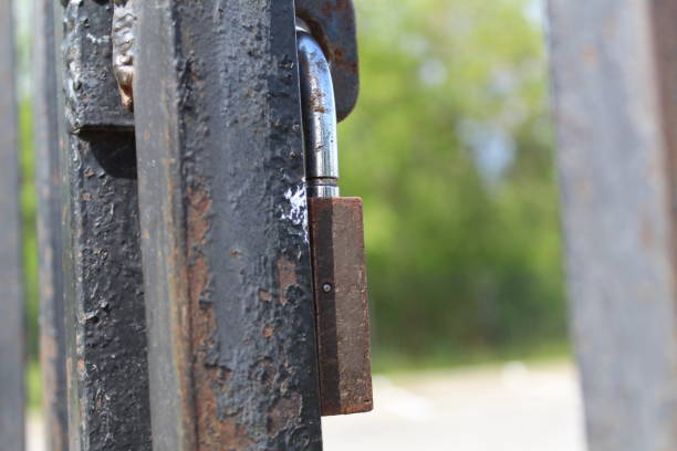 istock closed metal lock on iron gates, doors 1265959484
