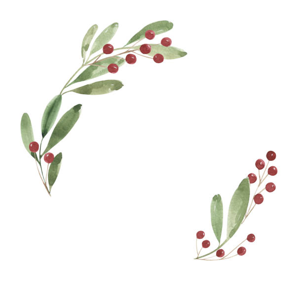 ilustrações de stock, clip art, desenhos animados e ícones de watercolor christmas wreath. green twigs and red berries. holiday, christmas, new year, 2021. print, postcard, gift, decoration, welcome, winter. - christmas frame holly leaf