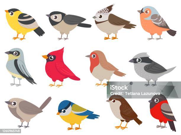 Cute Birds Hand Drawn Little Colorful Birds Animals Characters For Print  Card Garden Decoration Elements For Childish Poster Vector Set Stock  Illustration - Download Image Now - iStock