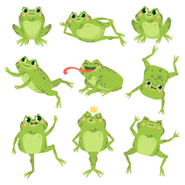 귀여운 개구리. 다양한 포즈, 행복한 동물 그룹에서 녹색 재미 개구리. 미소 활동 두꺼비, 동물원 육식 만화 벡터 문자 - toad green isolated white stock illustrations