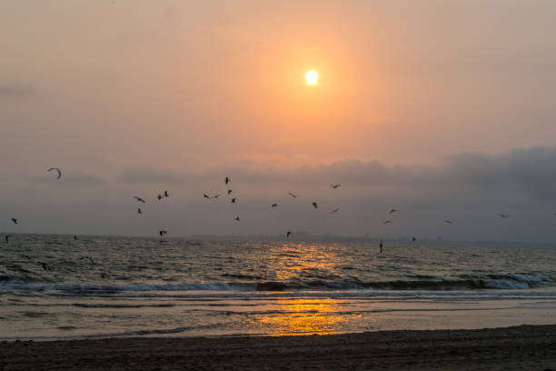 istock Evening on the see coast, hazy sunlight and a sun glitter on the water, sandy beach.With a flock of birds above the water. 1265972284