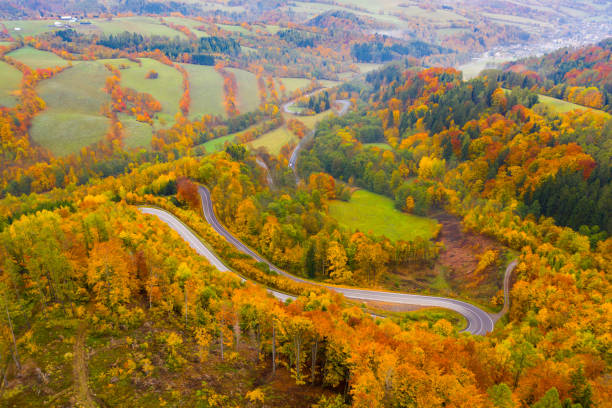 istock Aerial view of road between trees in autumn 1265972364