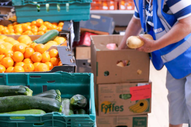 A volunteer worker carefully unpacking fresh vegetables in a food bank distribution centre 7th August 2020: A volunteer unpacking fresh fruit and vegetables, that have been delivered for distribution at a charity food bank centre, in the town of Penicuik, in Midlothian, Scotland. The woman is wearing blue jacket to identify her volunteer role in the centre, where emergency food packages are given to those in crisis and poverty. A problem that has increased since the Covid-19 pandemic, with more people losing jobs and getting into financial difficulty. midlothian scotland stock pictures, royalty-free photos & images