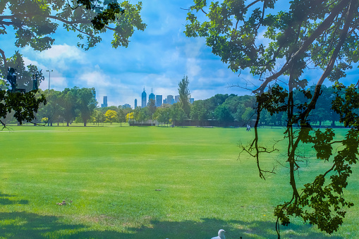 Public Park, Sport field, sport field with a cricket pitch. green grass.