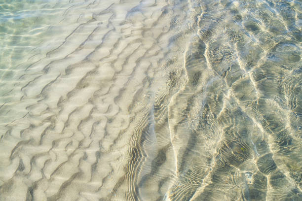 istock The Beach And The Tide At West Wittering 1265997408