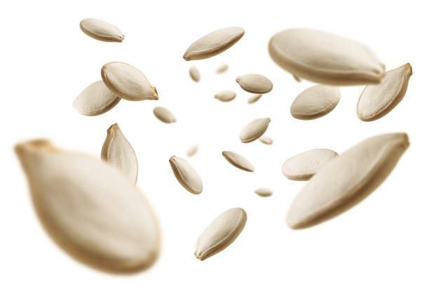 istock Pumpkin seeds levitate on a white background 1266010104