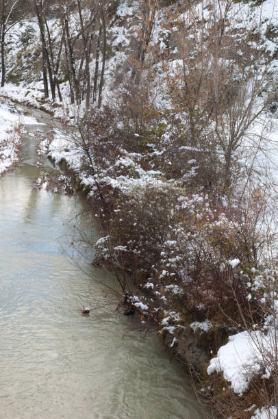 istock Gallego River with its snow-covered banks in Huesca. 1266010425