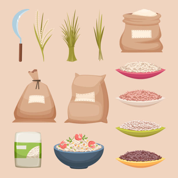 Rice grained. Storage sacks rice products grained agricultural food vector illustrations in cartoon style Rice grained. Storage sacks rice products grained agricultural food vector illustrations in cartoon style. Rice product, food storage grain in bag burlap rice sack stock illustrations