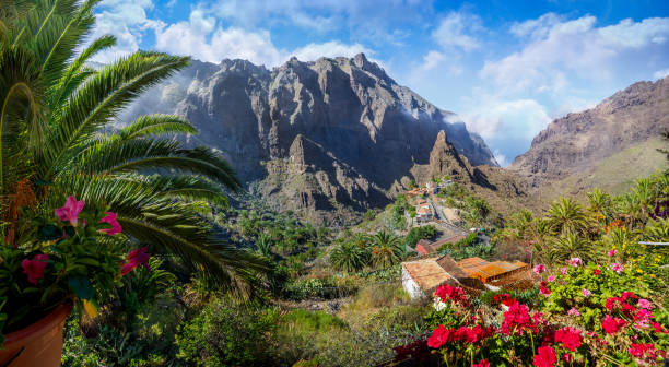 istock Mask the village,Tenerife 1266022906
