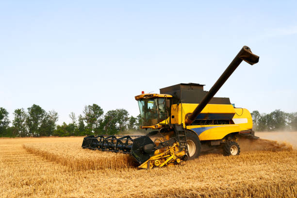 istock Combine harvester working in wheat field with clear blue sky. Harvesting machine driver cutting crop in a farmland. Agriculture theme, harvesting season 1266027684