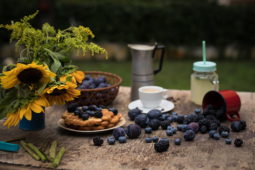 Low angle view of wooden table in an outdoor backyard with snacks and fruits. Some blackberries, plums and blueberries have been dropped.