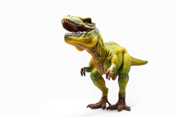 Snarling green Tyrannosaurus a huge reptile from the Jurassic period, a children's toy Snarling green Tyrannosaurus a huge reptile from the Jurassic period, a children's toy. Figure isolated on white action figure stock pictures, royalty-free photos & images