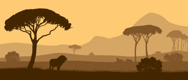 schöne vektorlandschaft der afrikanischen savanne mit tieren bei sonnenuntergang. - savanne stock-grafiken, -clipart, -cartoons und -symbole