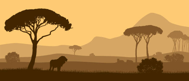 Beautiful vector landscape of African savannah with animals during sunset. Beautiful vector landscape of African savannah with animals during sunset. savannah stock illustrations