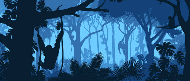 ilustraciones, imágenes clip art, dibujos animados e iconos de stock de hermoso paisaje vectorial de una selva tropical con monos orangutánes y exuberante follaje en colores azules. - primate