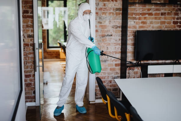 istock Office disinfection during COVID-19 pandemic 1266044533