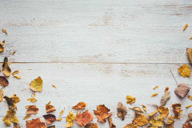 Dry Autumn Leaves On White Planks