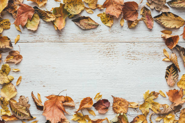 istock Dry Autumn Leaves On White Planks 1266045825