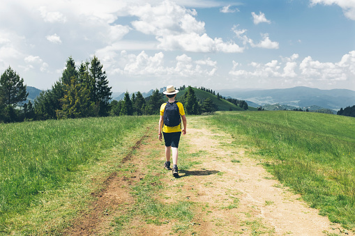 Pilgrim walking to Compostela on the french Way of St James (Camino de Santiago), near O Cebreiro, Galicia, Spain