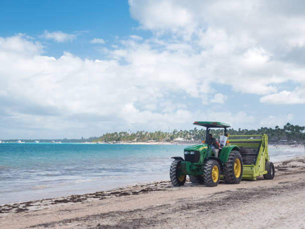 Bavaro, Punta Cana, Dominican Republic - 24 January 2019: Cleaning sargassum algae on tropical coastline by tractor with Barber Surf Rake. Caribbean ecology problem. The Barber Surf Rake is the most popular tractor-towed beach cleaner in the world