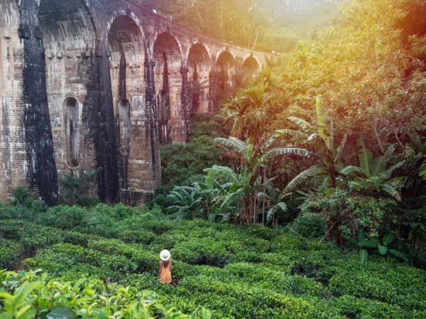 Traveler contemplating the famous nine arch bridge in Sri Lanka