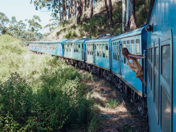 istock Tourist in Sri Lanka riding train 1266066642