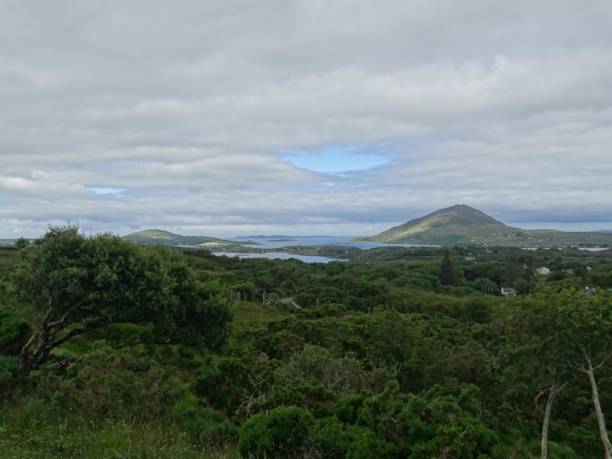 istock Nature of Ireland 1266067078