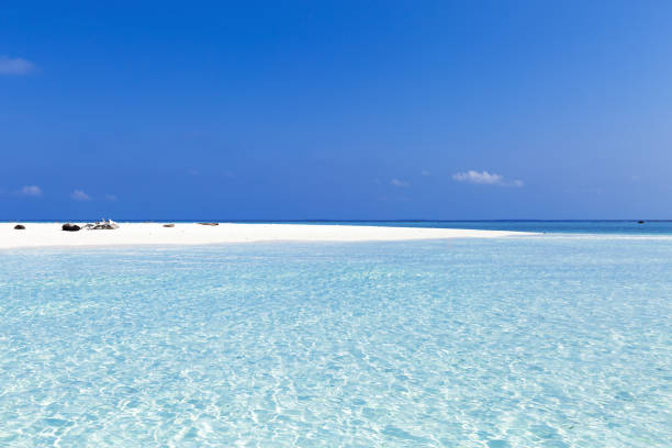 istock Wild Maldives island with sandy beach 1266067963