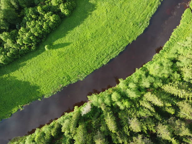 istock top view, river flows, aerial photography 1266070688