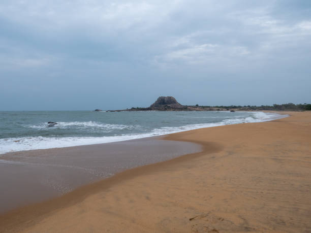istock Wild beach in Yala national park, Sri Lanka 1266076287