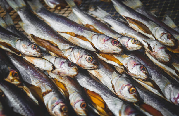 istock Dried and salty mullet fishes group. 1266076481