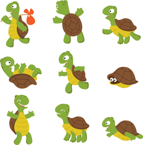 Cartoon Turtle Cute Tortoise Wild Animal Vector Characters Isolated Stock  Illustration - Download Image Now - iStock