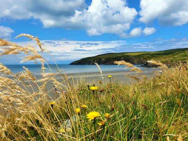 istock Newport Beach, Pembrokeshire 1266076672