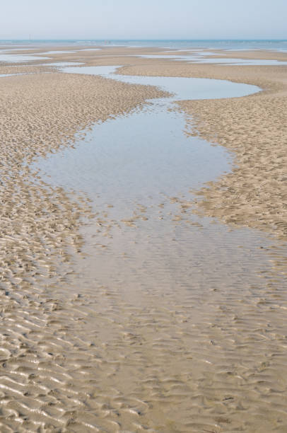 istock On The Beach At West Wittering 1266079745