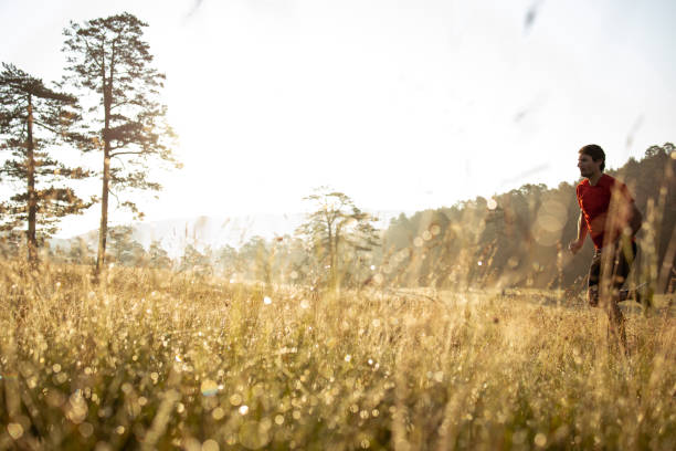 Young man is jogging in a field surrounded with the forest at sunrise.