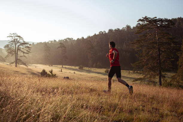 istock Morning jogging in a field 1266089823