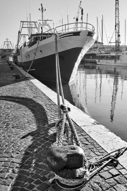 istock Port and tied up ship at a wharf 1266092537