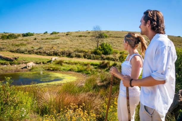 Couple on walking safari with lions