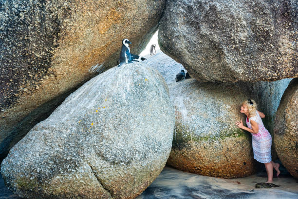istock Playing with penguins in South Africa 1266092968