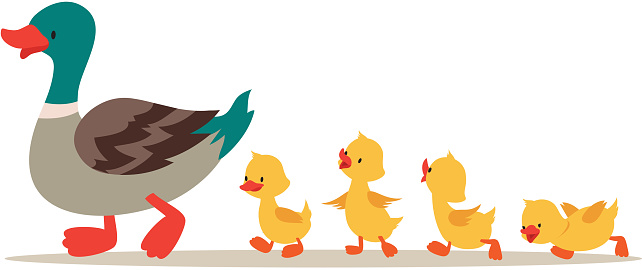 Mother duck and ducklings. Cute baby ducks walking in row. Cartoon vector illustration