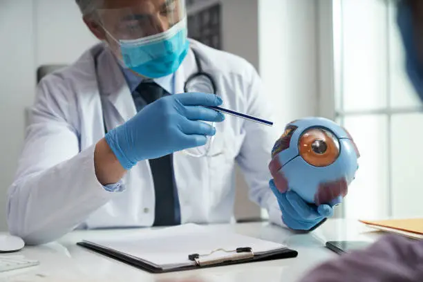 Ophtahlmologist wearing personal protective equipment pointing to a model of an anatomical eyeball and showing it to a patient