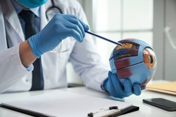 istock Having a closer look at a human eye anatomy 1266098428