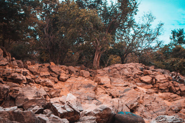 surrounding of hgenakkal falls in south India