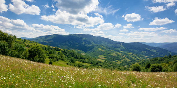 istock pasture on a sunny day in mountains 1266104299