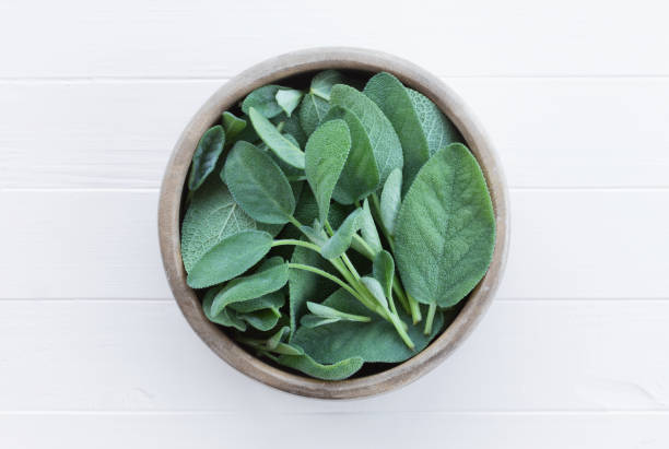 istock Sage in a bowl on a white wooden board 1266104629